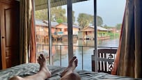 Bed view