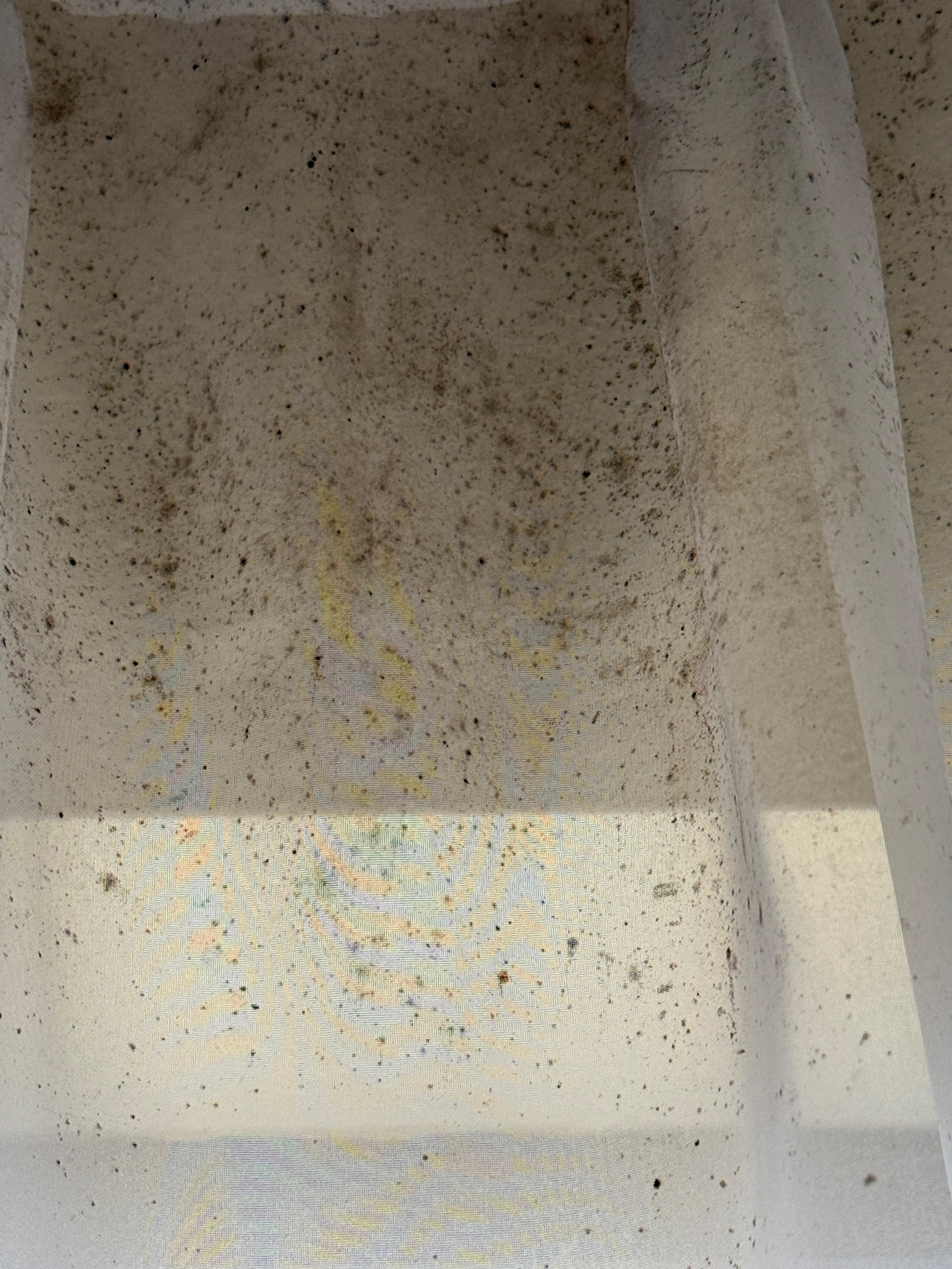 Mold on curtains