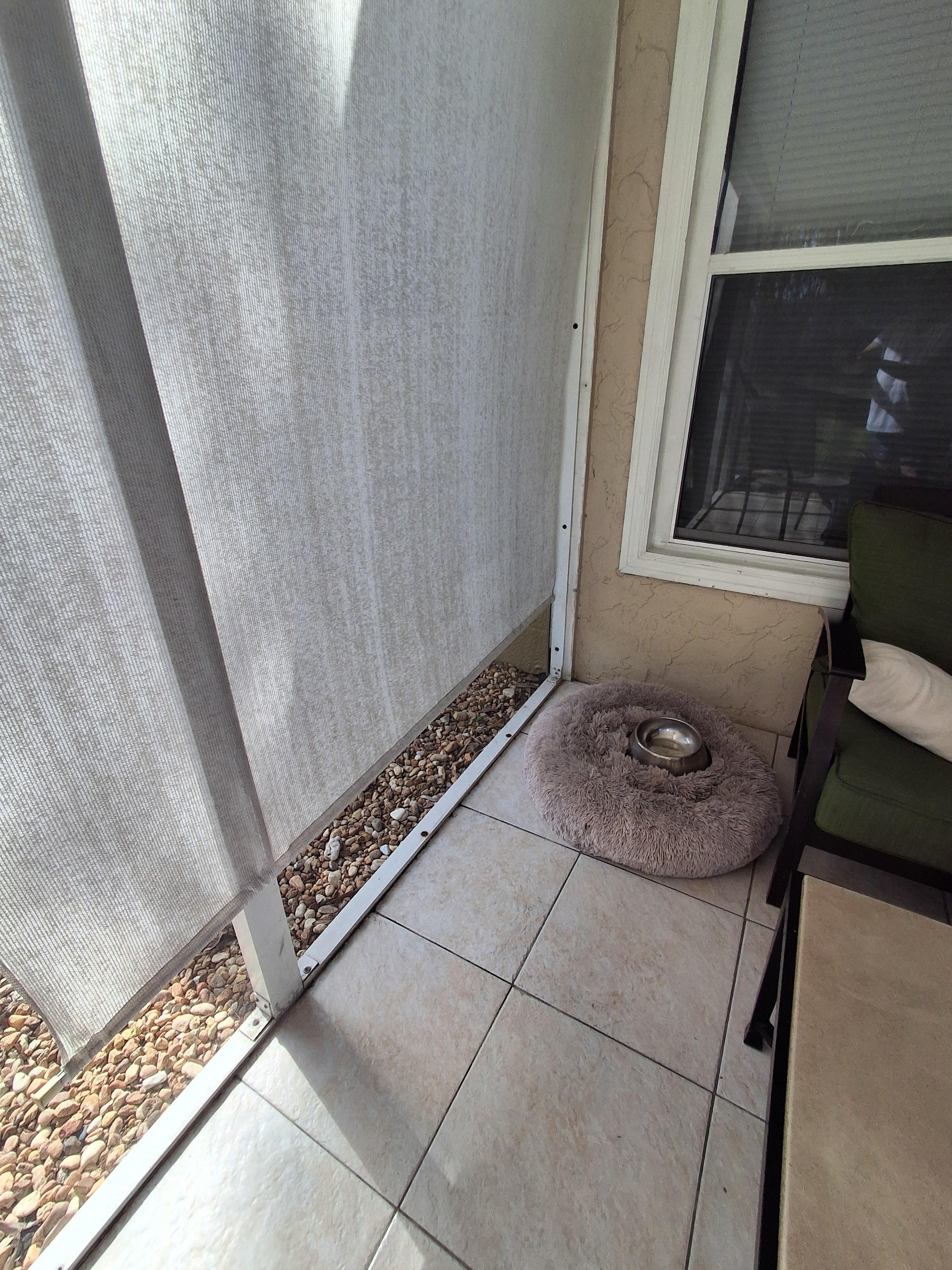 Dog bowl and bed listing says no pets