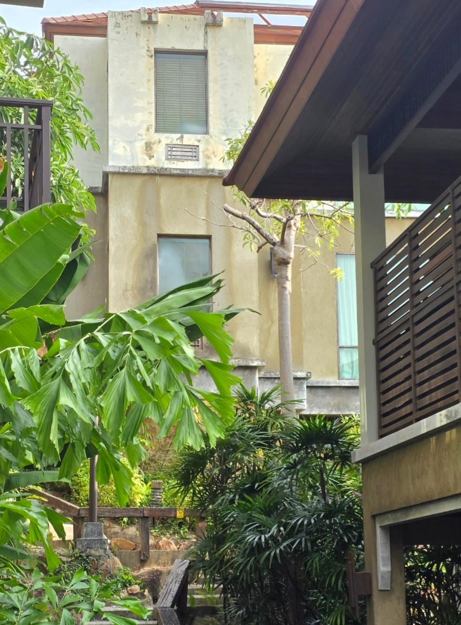 Needs a good pain job.