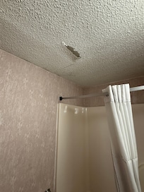 Ceiling damahe