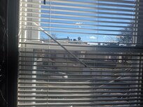 Broken blinds in most of the rooms.