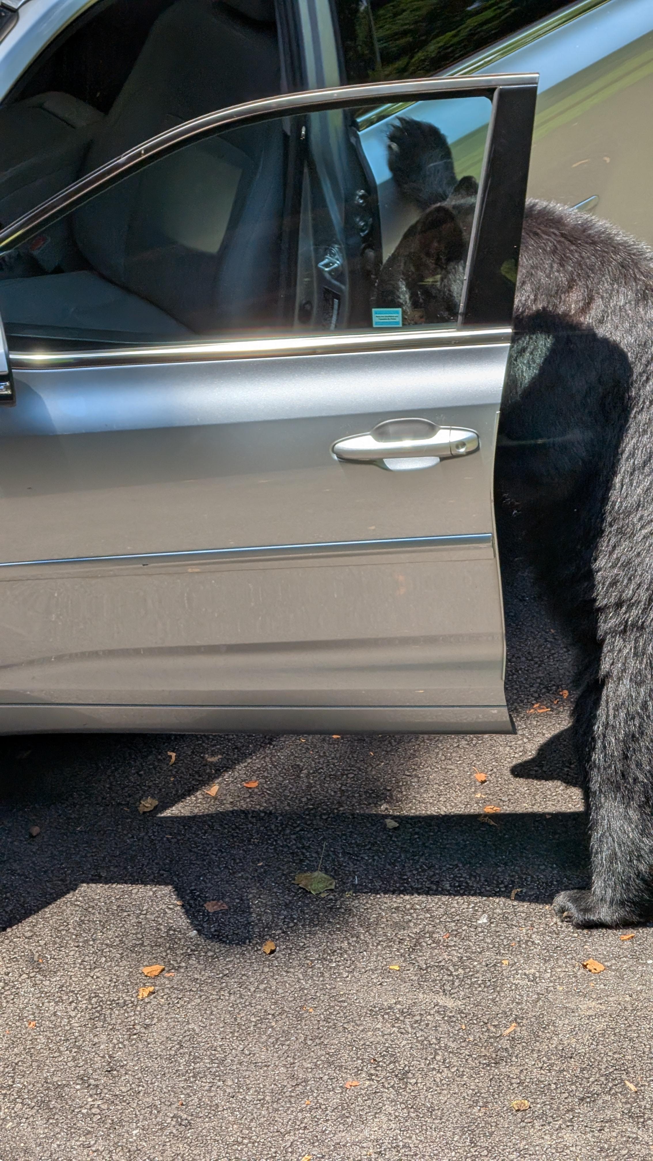 but I didn’t lock it. Fortunately, she only messed up the console.