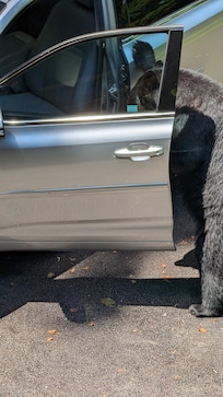 but I didnât lock it. Fortunately, she only messed up the console.