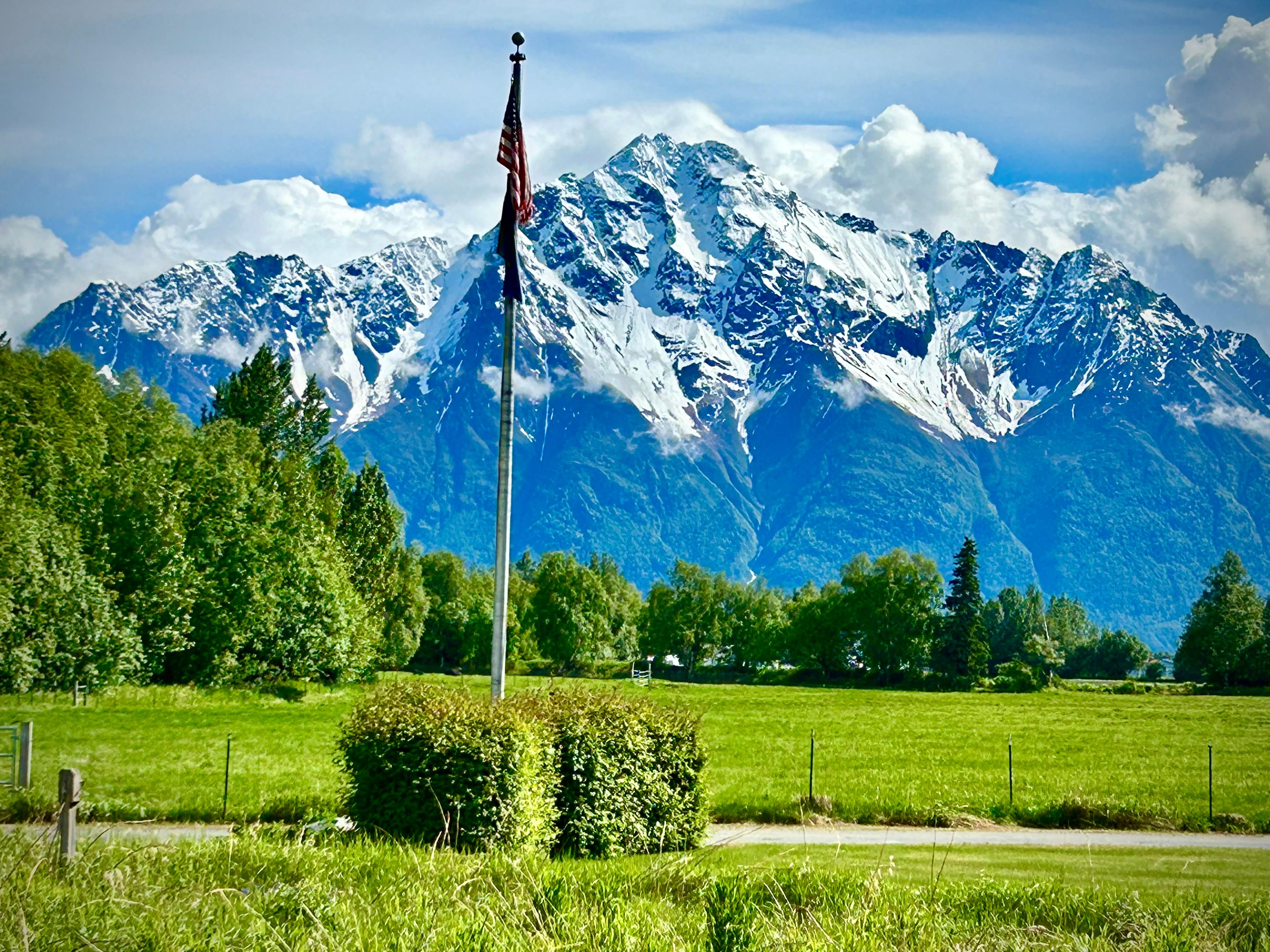 View from our bungalow! 