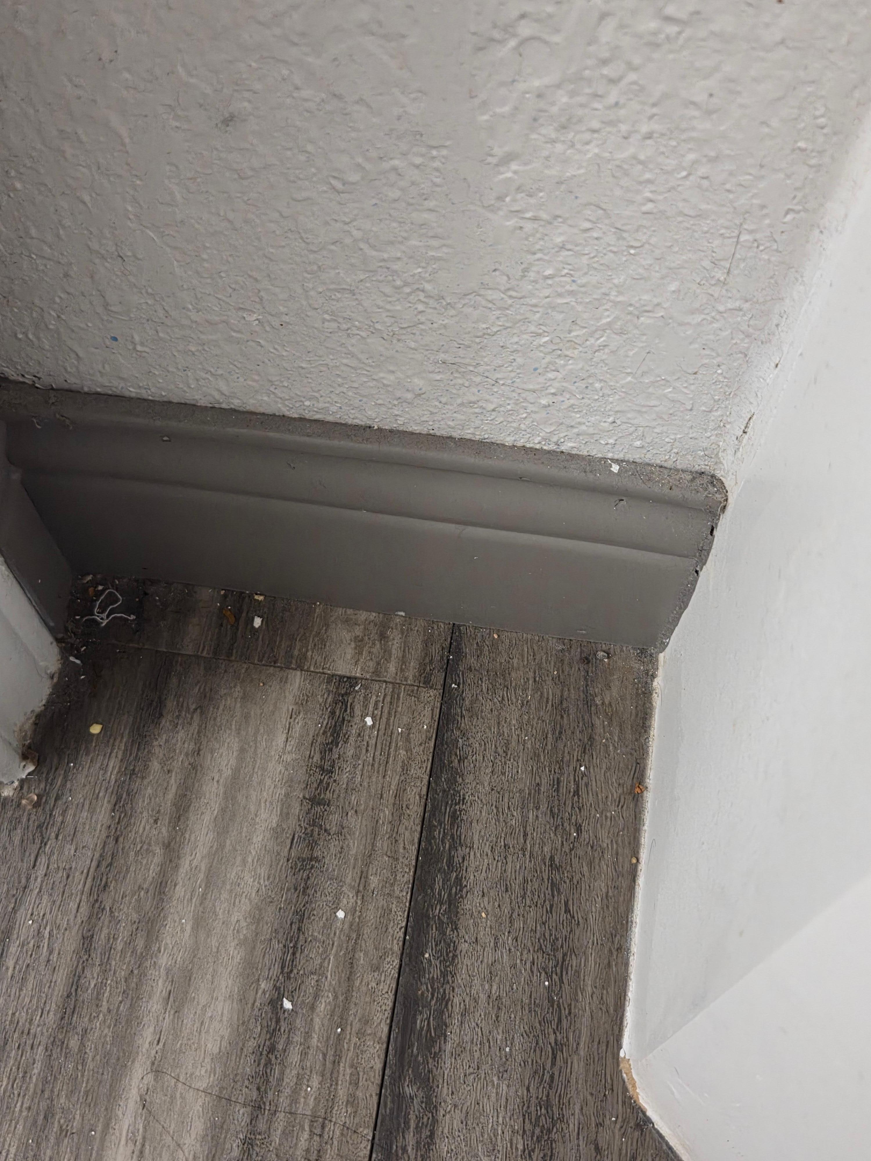 Picture of floor, wish I'd taken more pictures 