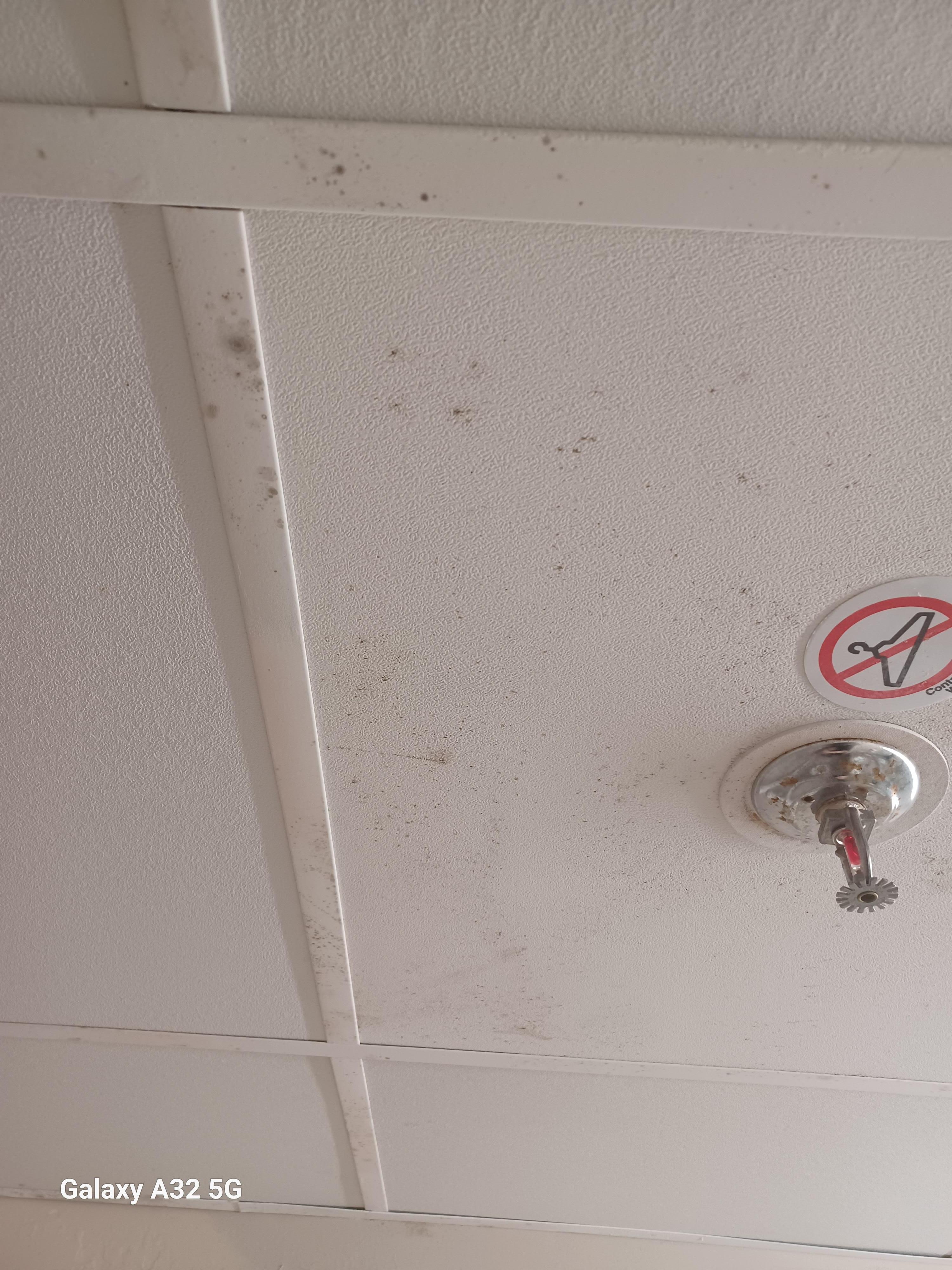 This is  the bathroom 