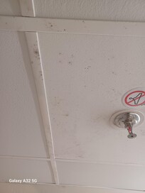 This is the bathroom