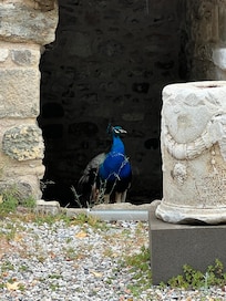 auf der Burg