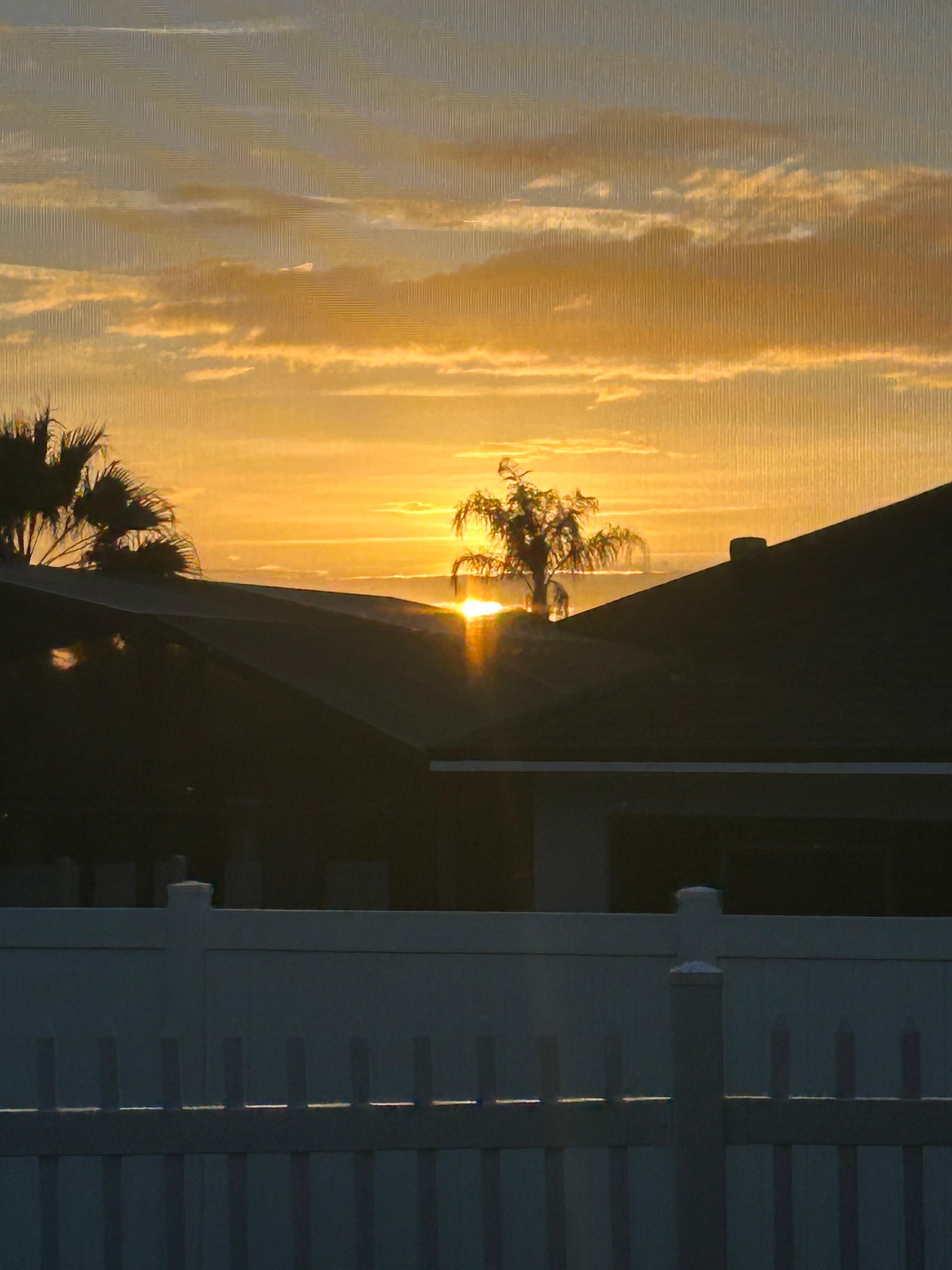 Backyard sunsets