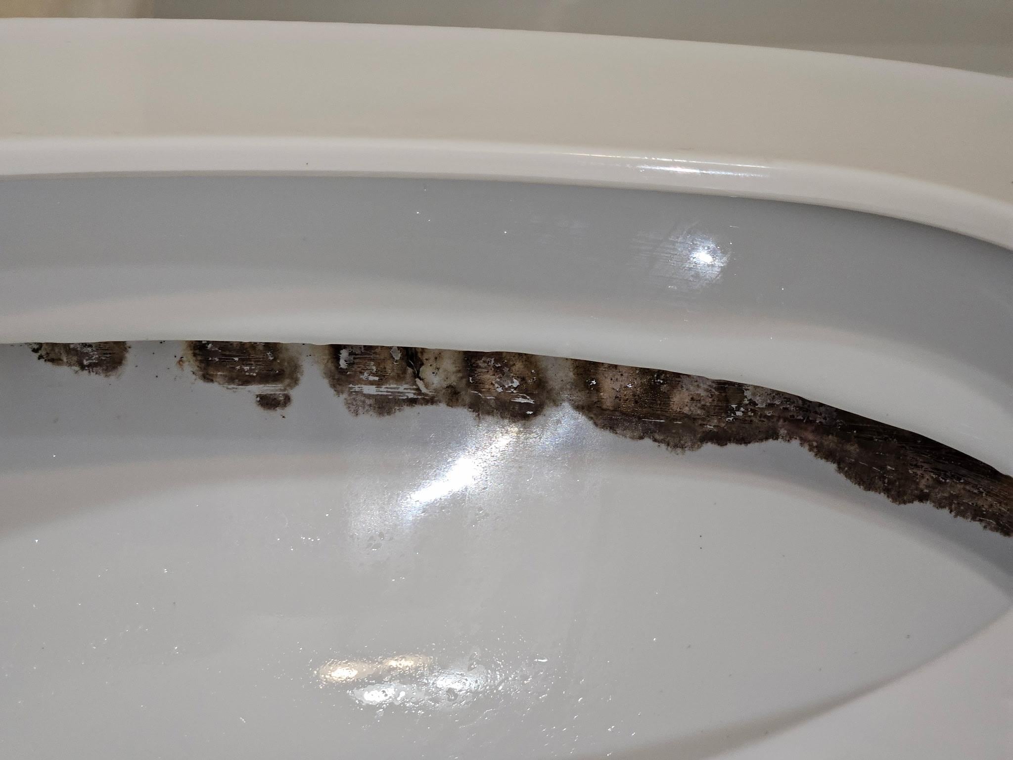 Inside toilet