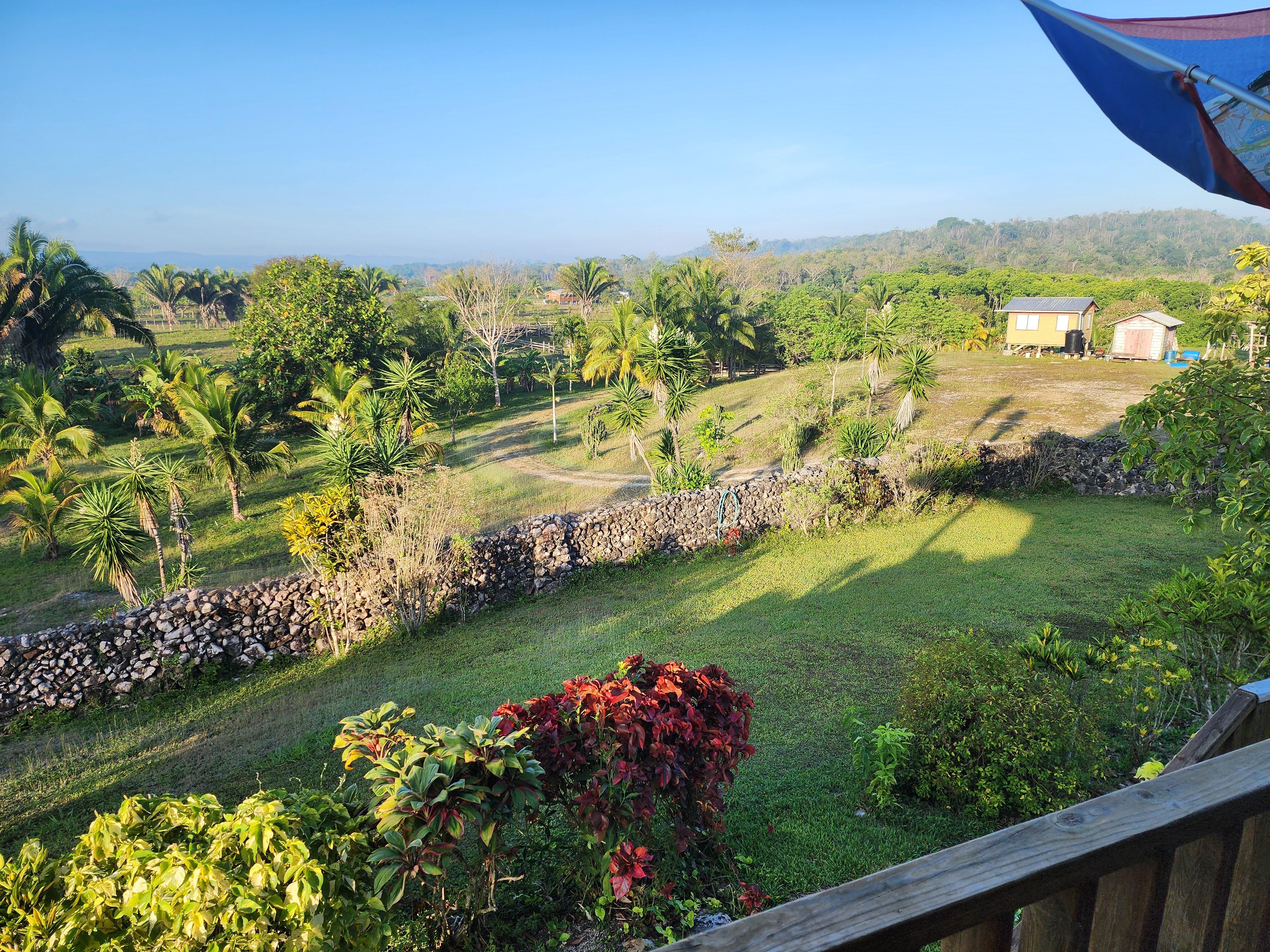 View from deck