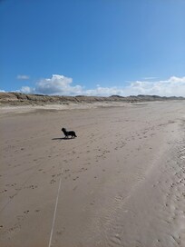 Der endlose Strand bei Hargen aan Zee