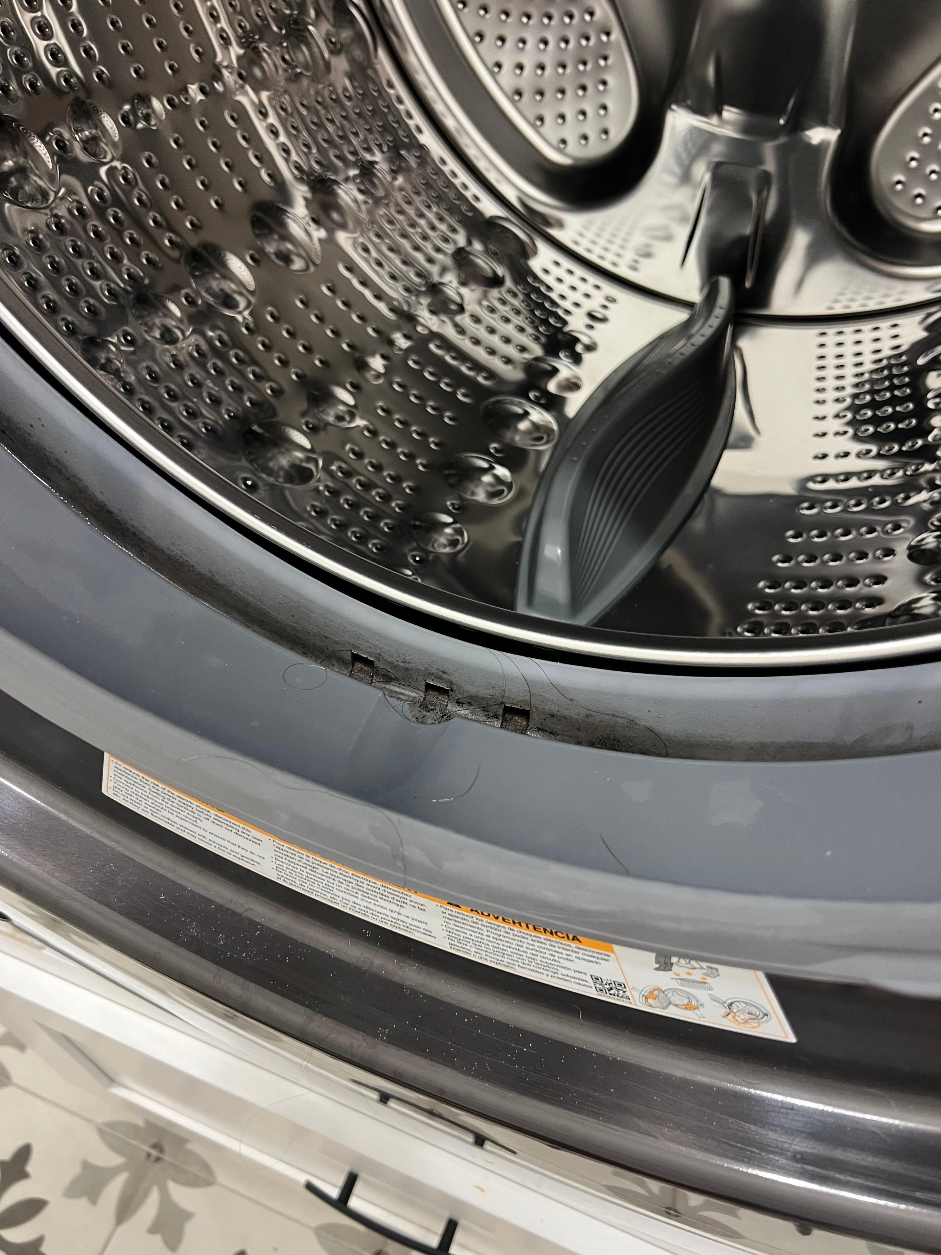 Mold and hair in washer 