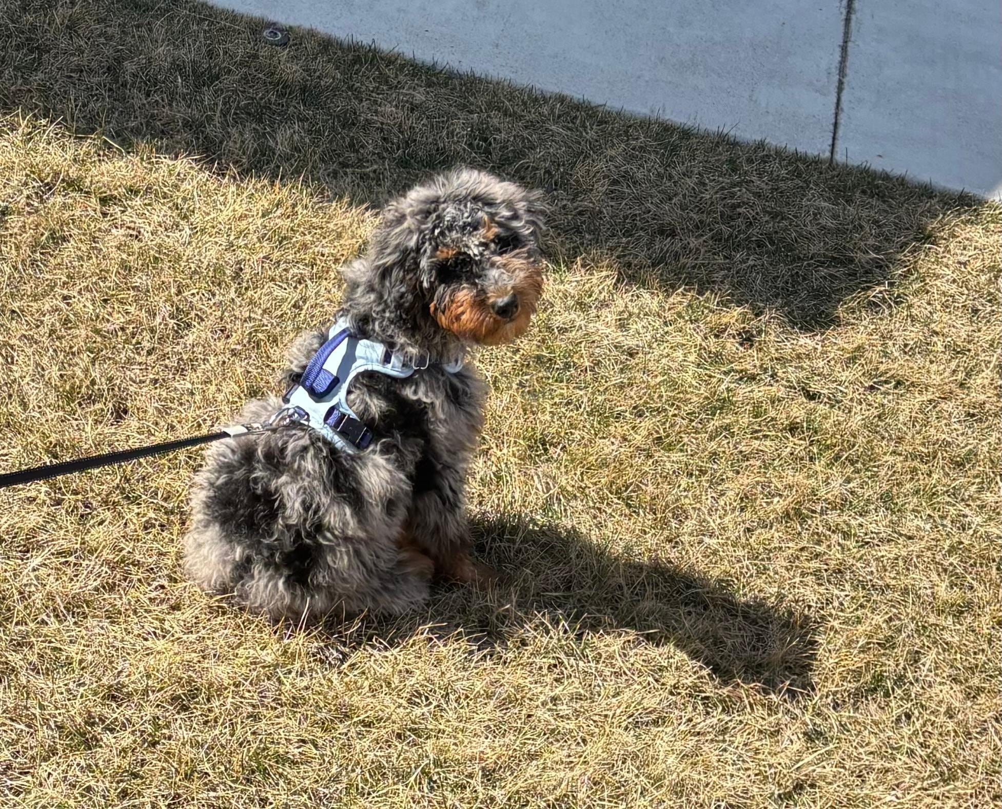 Soaking in the sun outside of the Townhome.