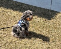 Soaking in the sun outside of the Townhome.