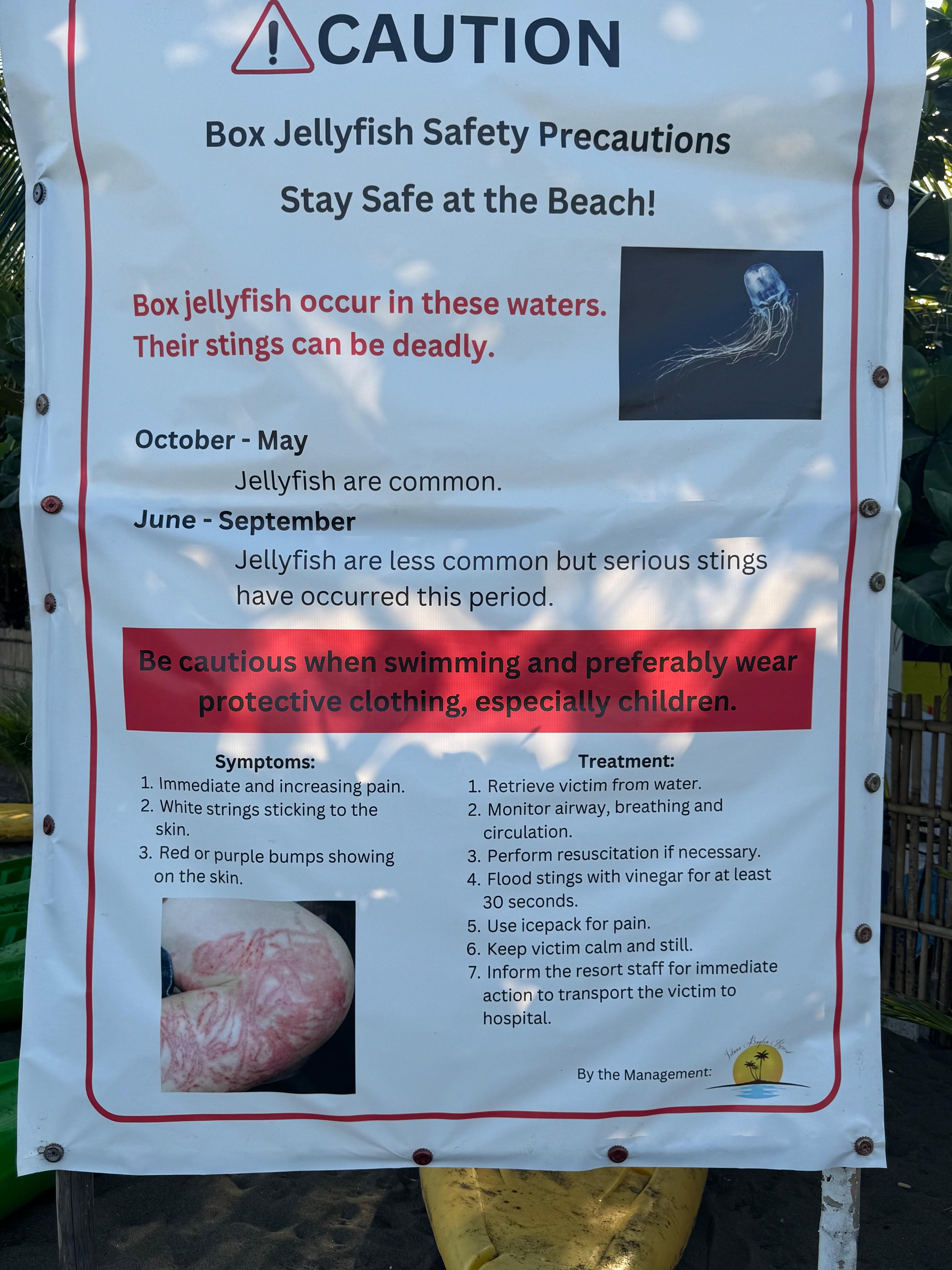 cant really swim due to jellyfish. no medic on standby so you cant really take a risk