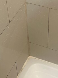 Mold shower walls