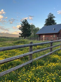 View from the driveway.