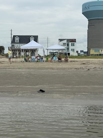 View from the beach back towards the house
