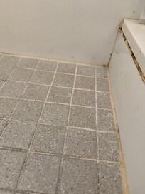 Who knows when these showers were cleaned.