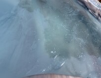 The hot tub