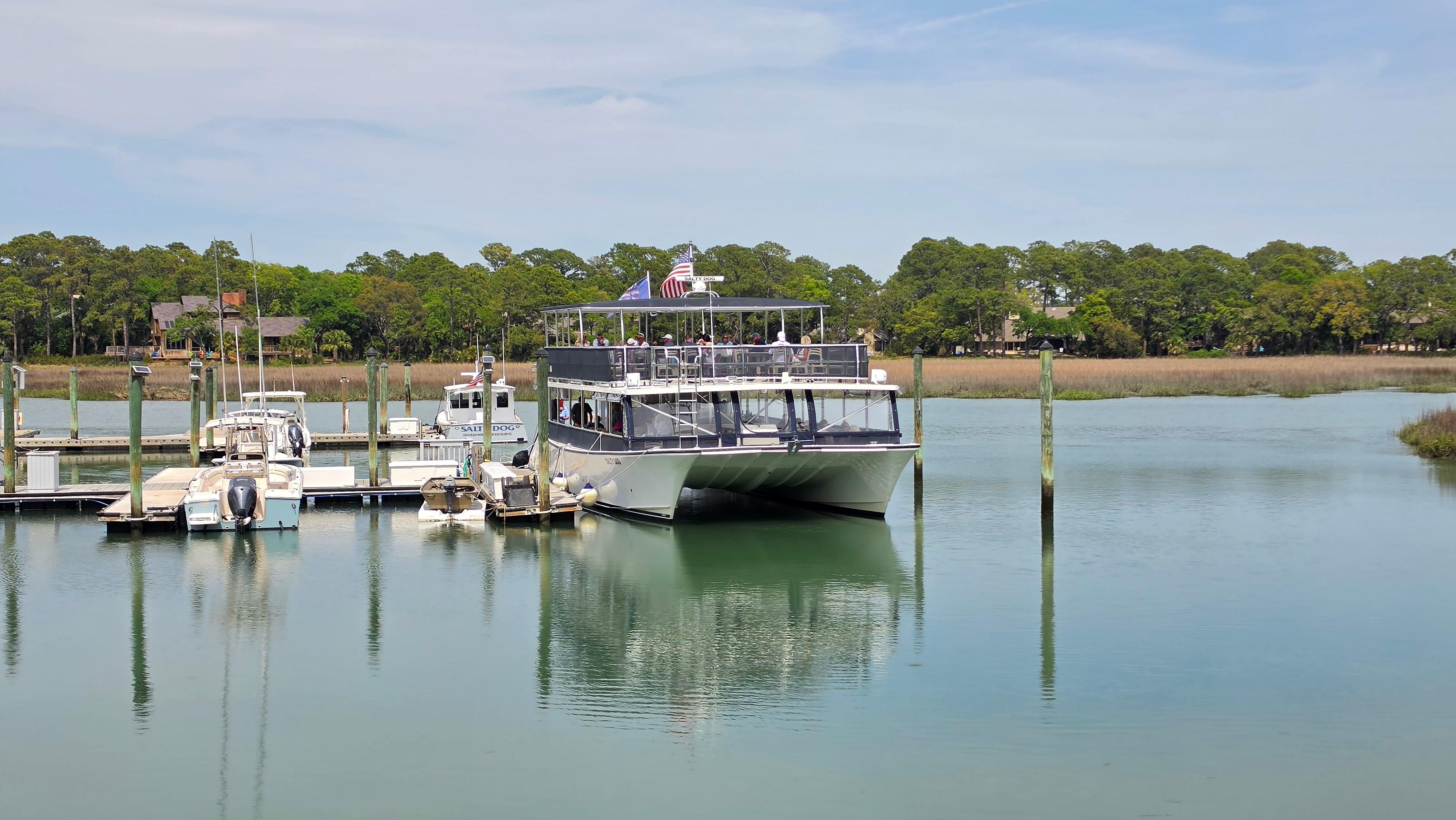Adult dolphin cruise Salty Dog