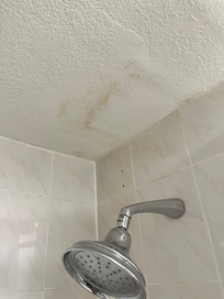 Shower was very clean but some upgrades should happen.