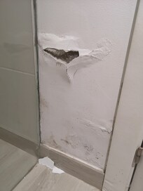 Plaster peeling off the wall from long-term damp issues in the basement bedroom/ensuite