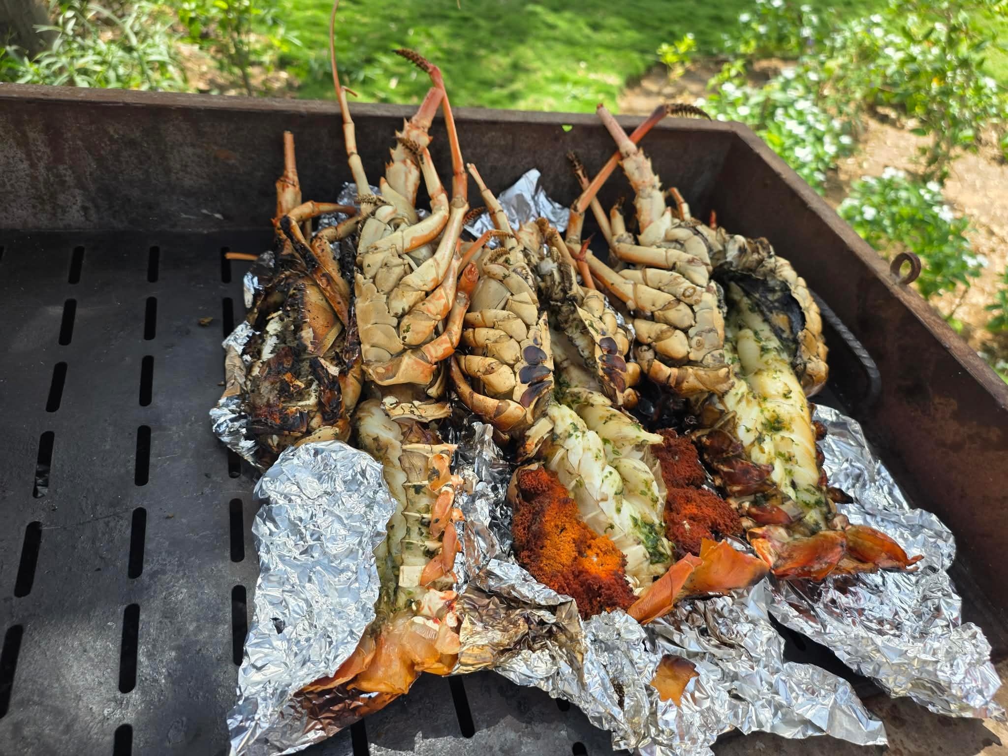 les langoustes préparées par Bernadette !!