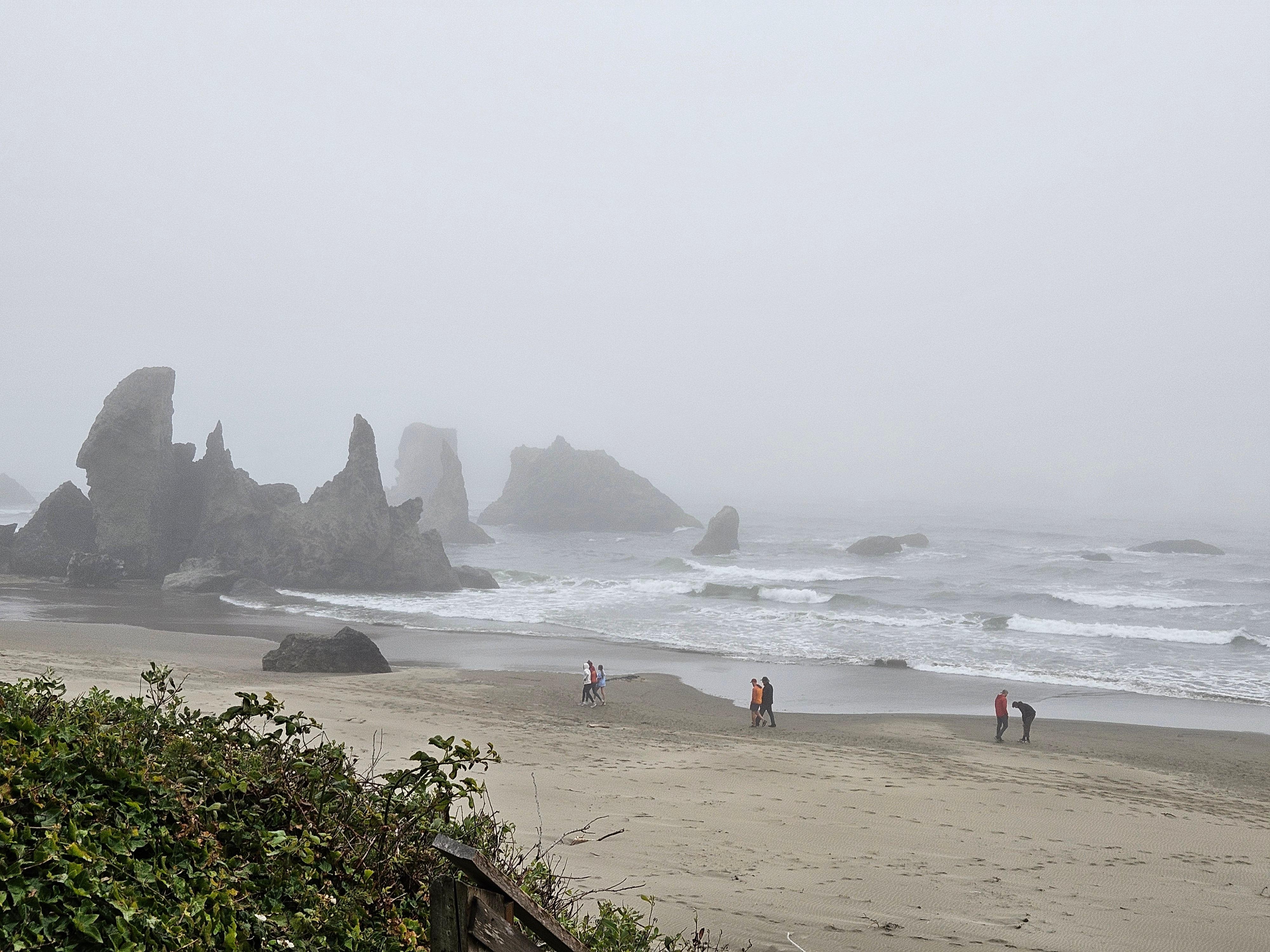 View from the top of the backyard stairs to the beach