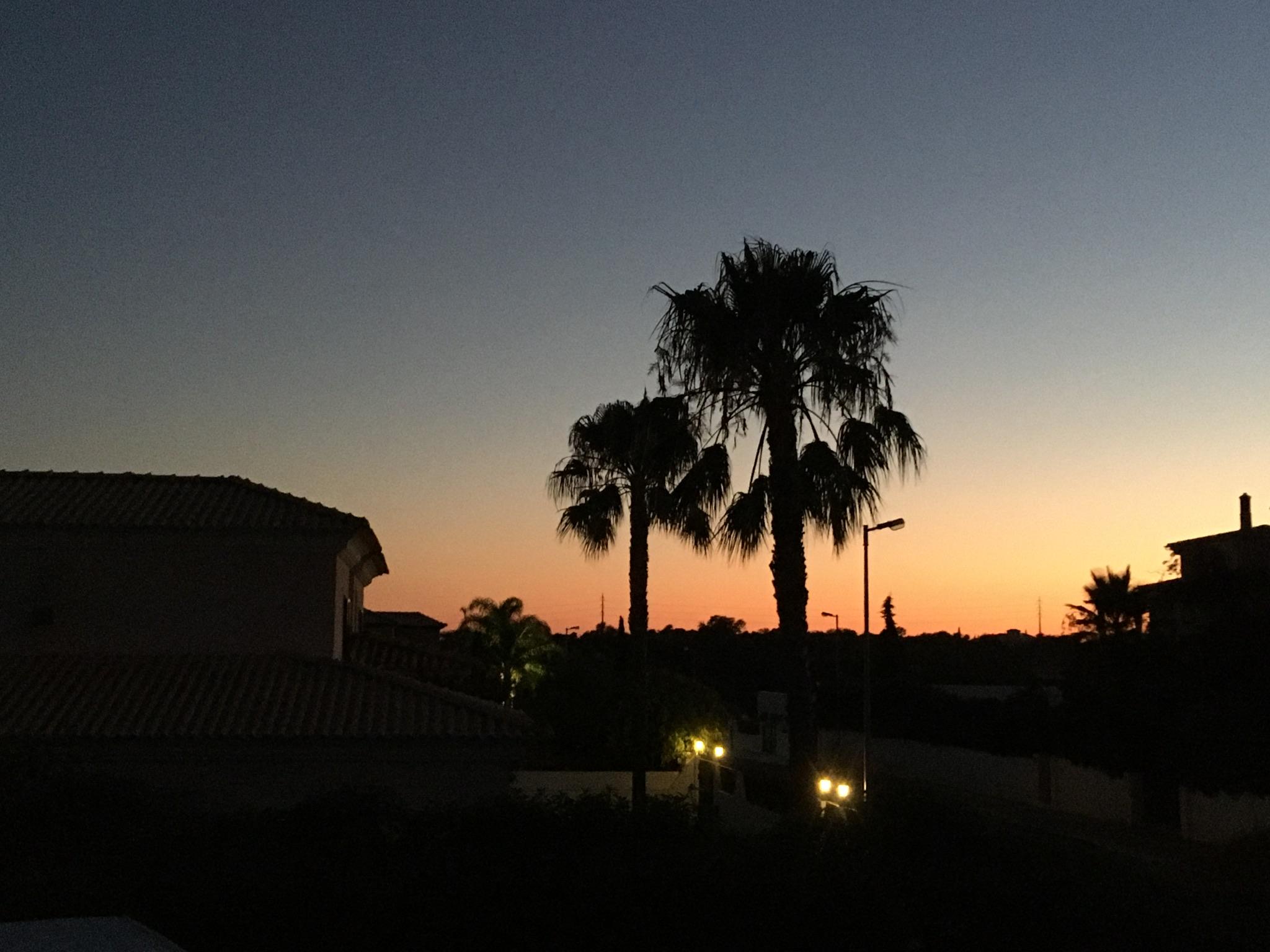 Blick von der Terrasse 