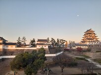 Room view, at sunrise with the moon