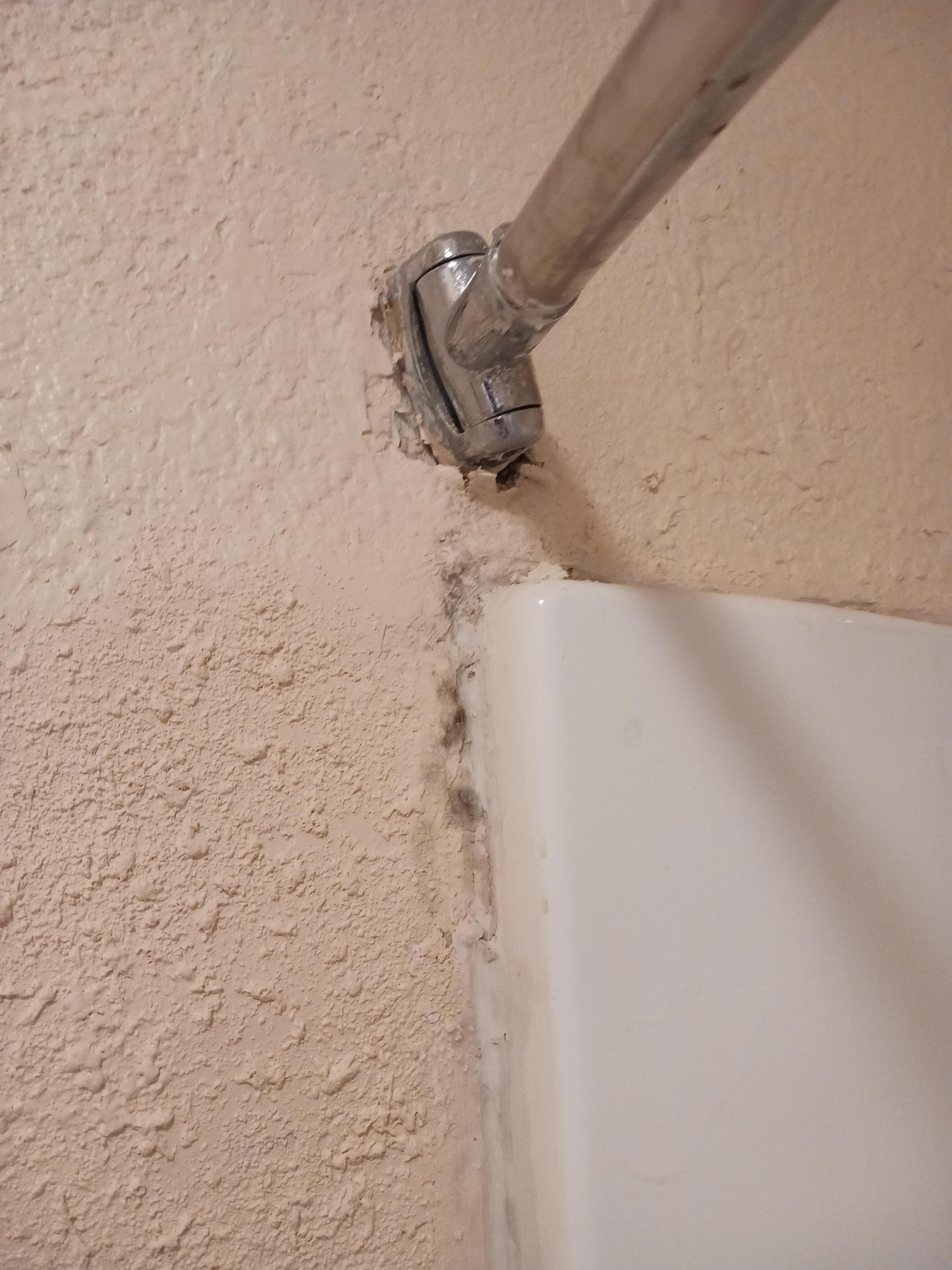 Fungus and broke curtain rod