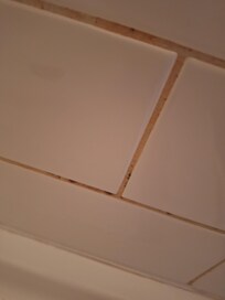 Pink Mildew stained groutblob:https://www.vrbo.com/56074f4e-bfcb-439e-930e-af7f2a0592e4