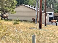 A family affair! View out kitchen window.