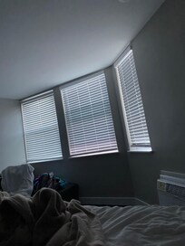 So much light coming in