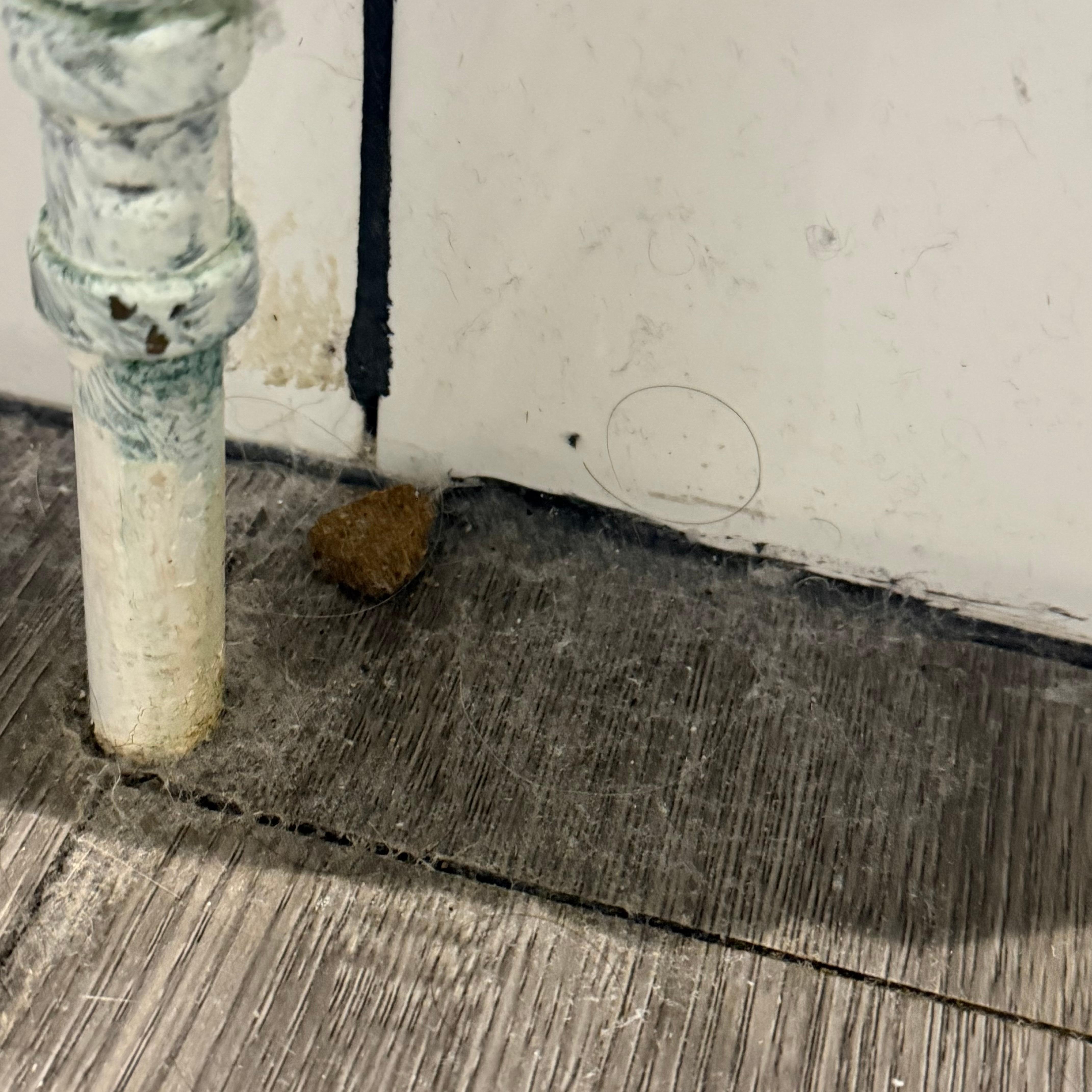 Pretty sure this was faeces in the bathroom? Also dirty unclean floors in general!!