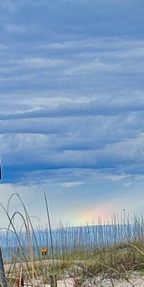 View from Beachcombers