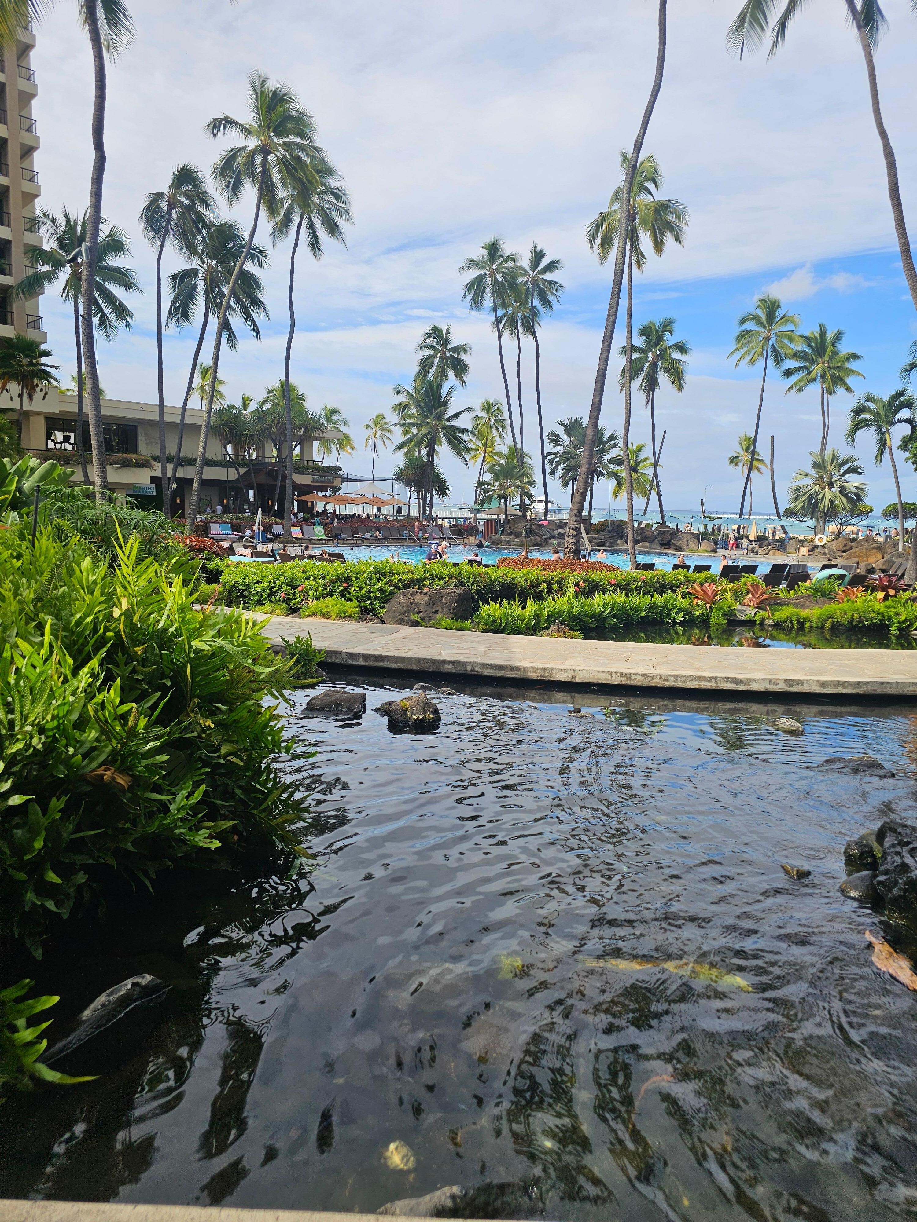 Hawaiian Village pound