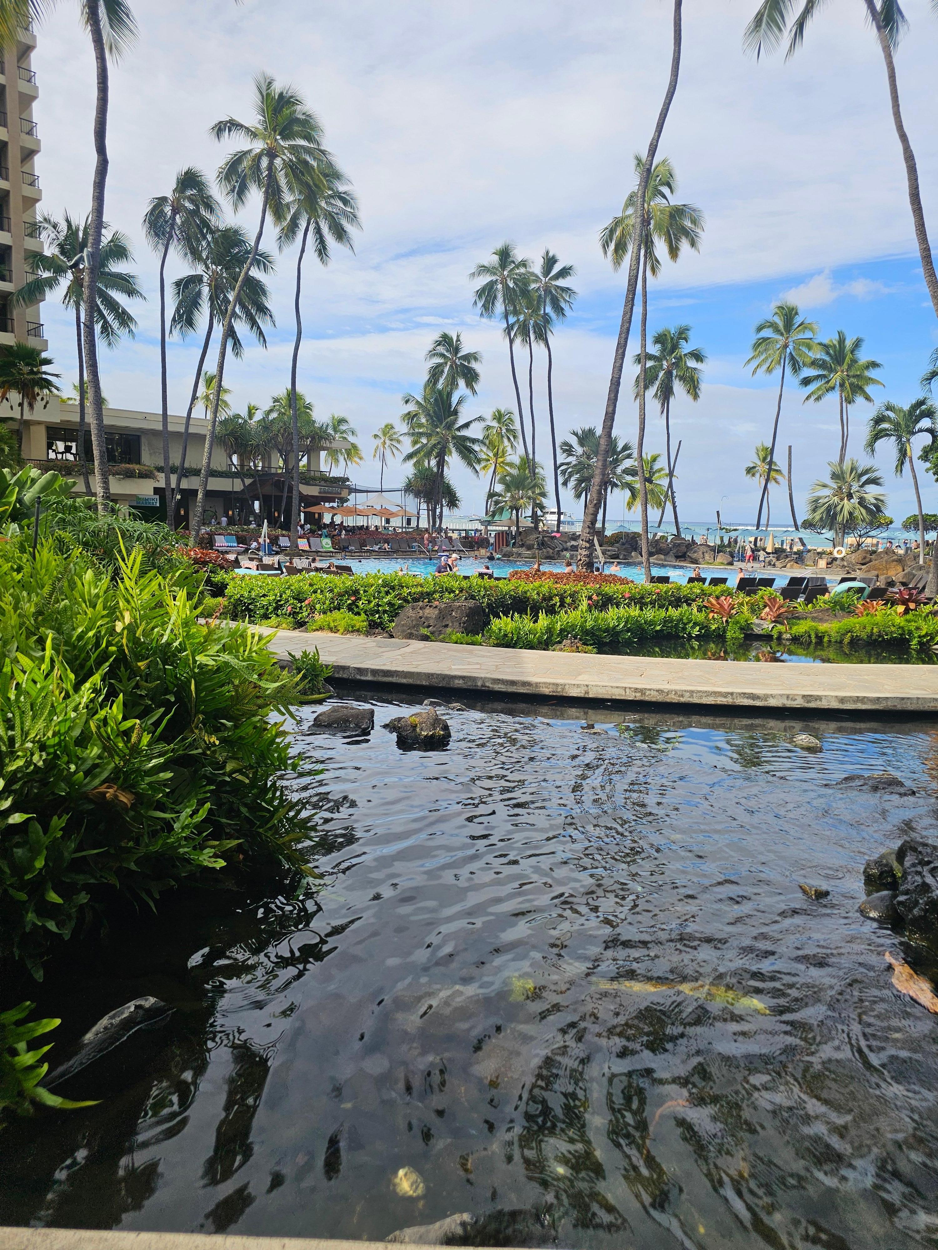 Hawaiian Village pound