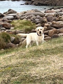 Bella loved the freedom there on Sheigra beach
