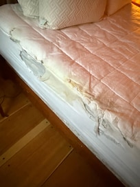 Bed and mattress pad ripped