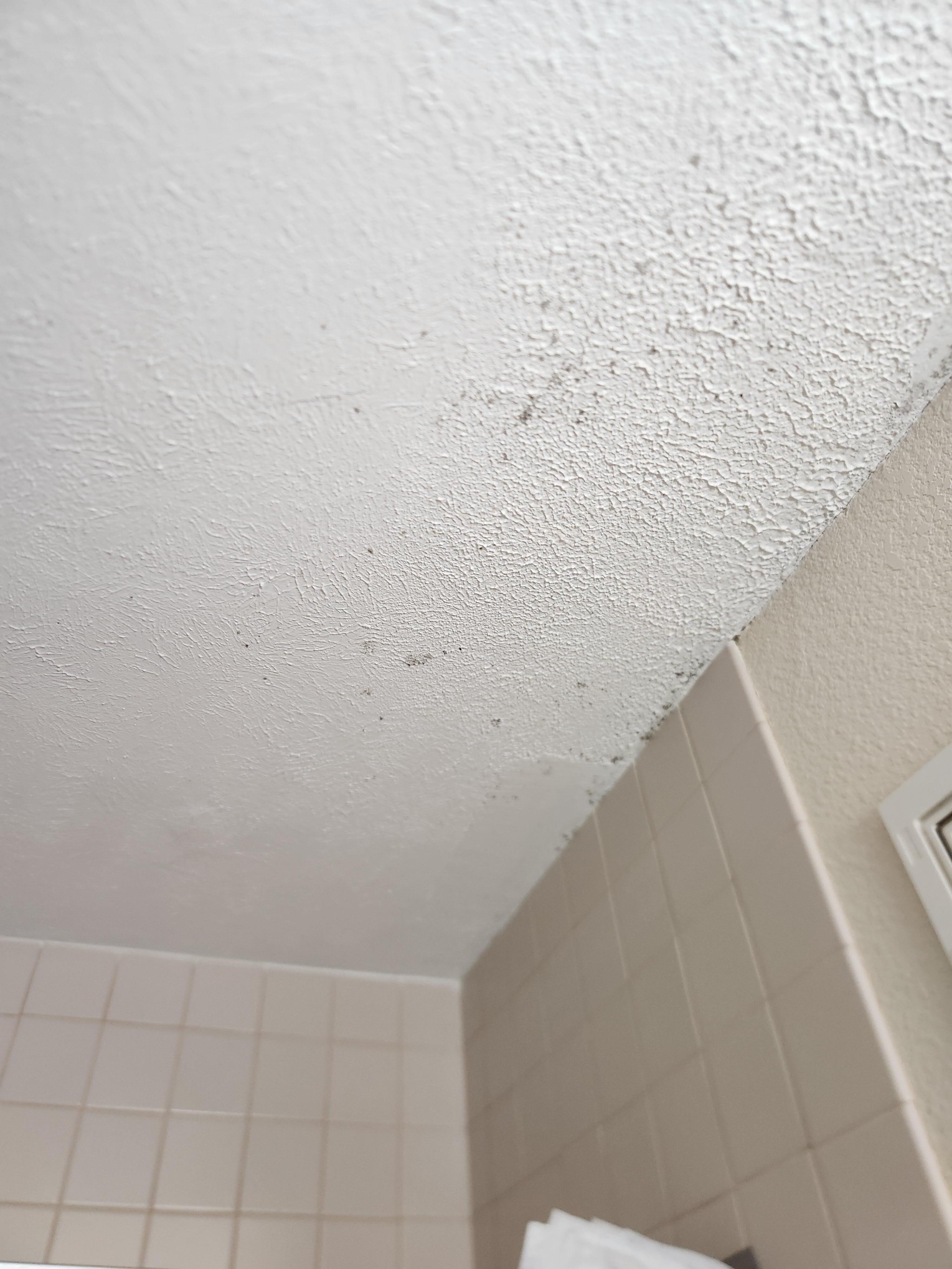 Black mold 