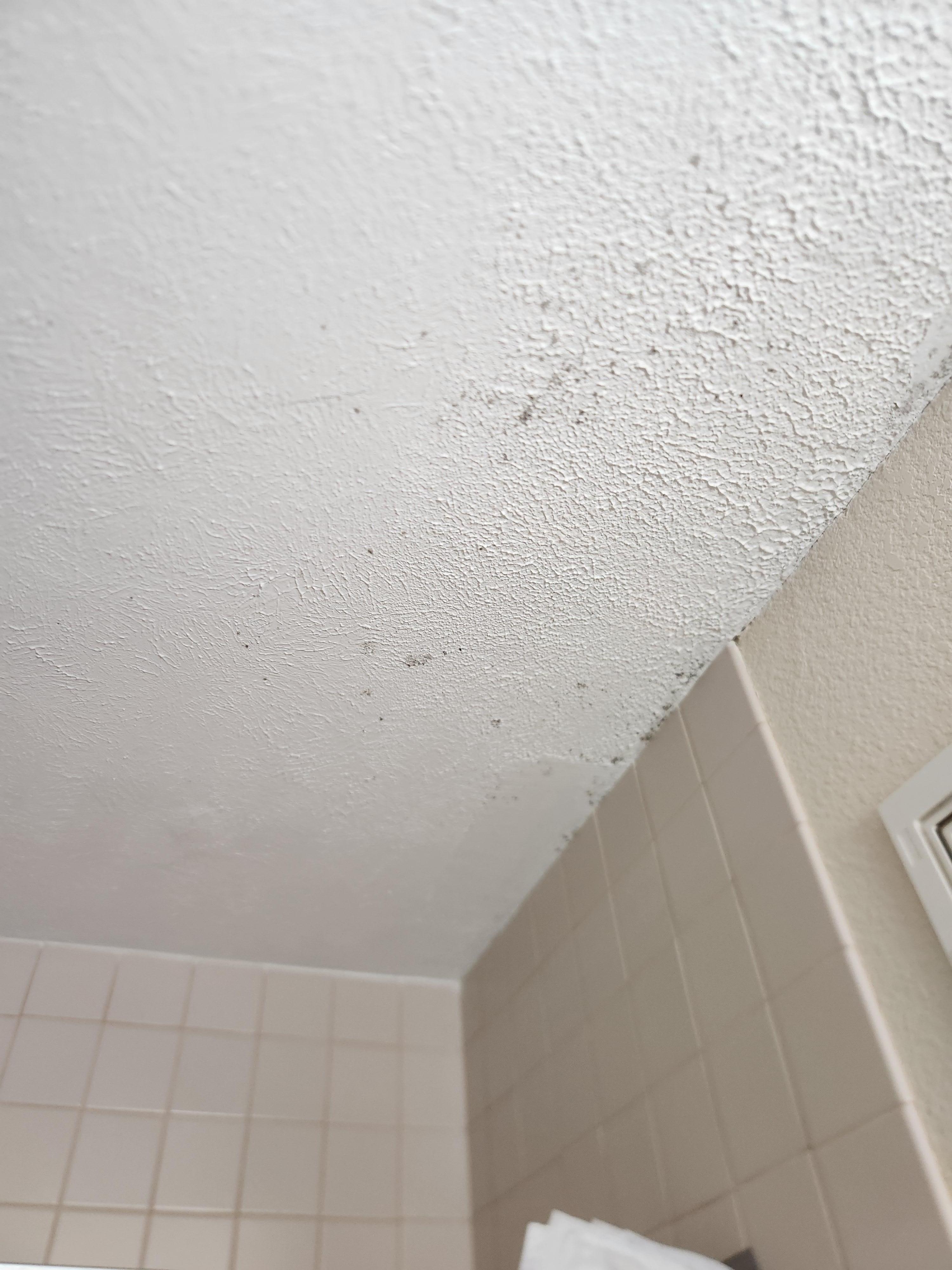 Black mold