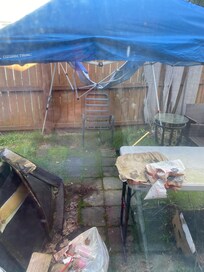 This is the patio that was overgrown and full of trash.