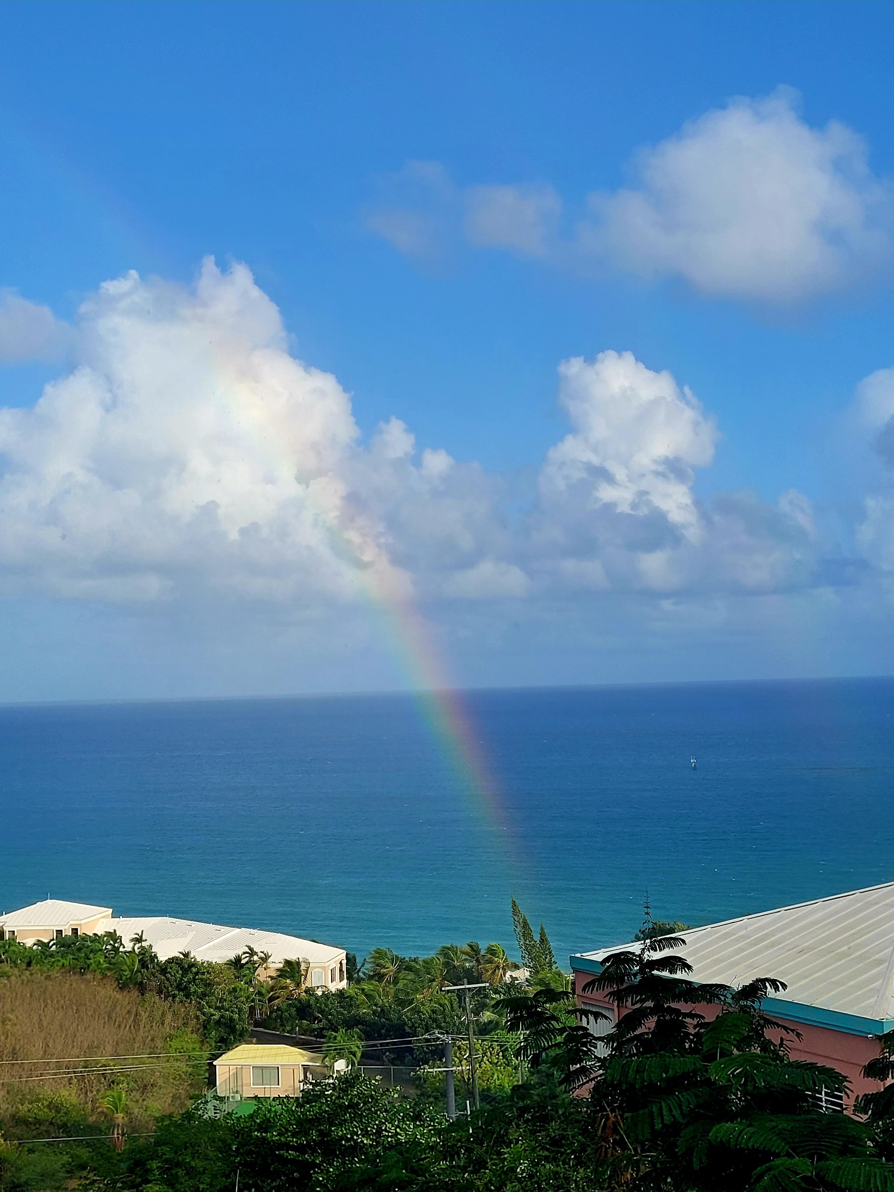 View from the balcony in the morning
