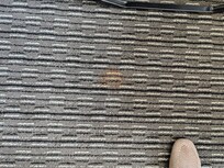 Stains like this throughout the carpet smell like dog feces moved rooms