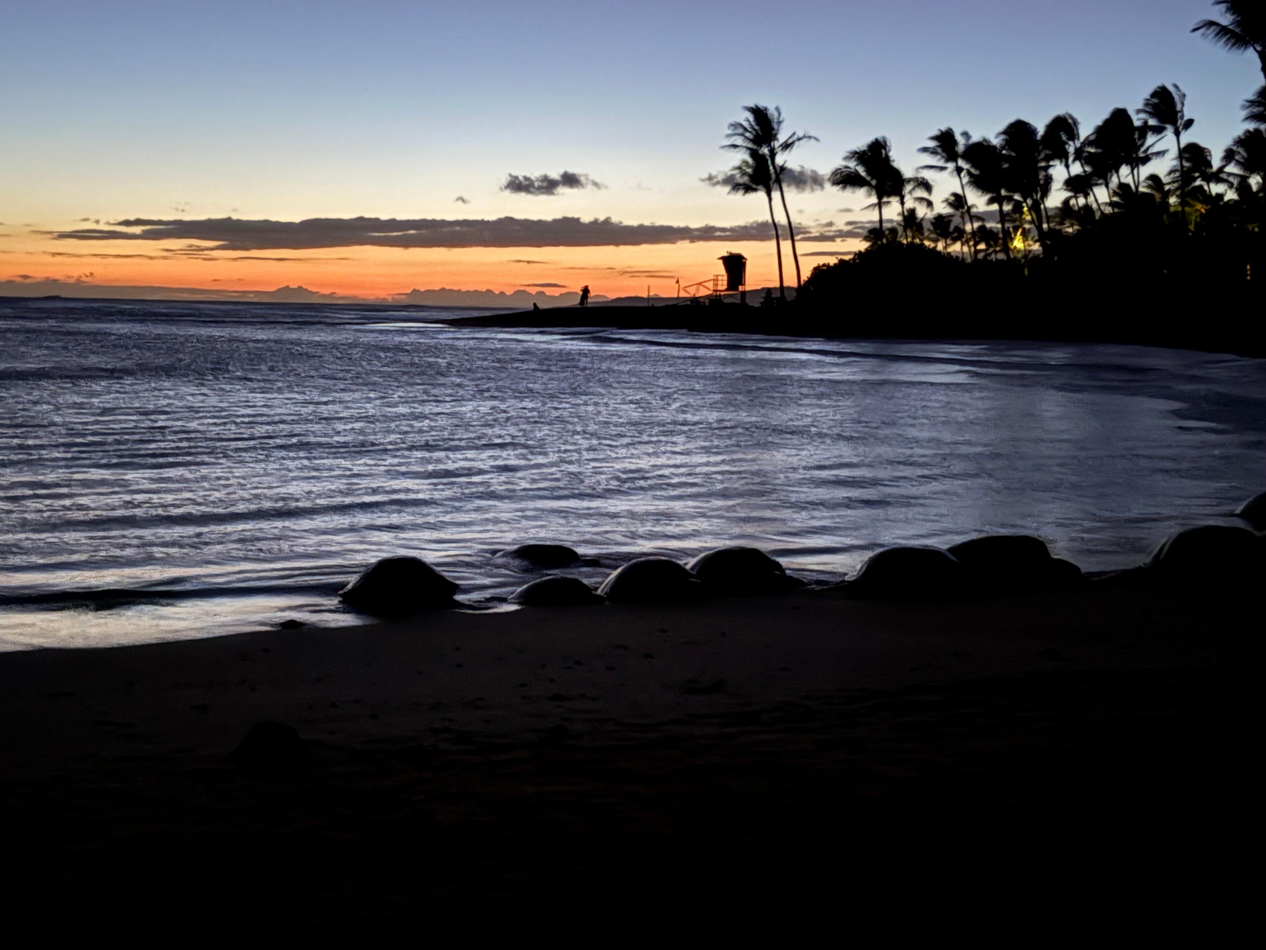 Turtles at sunset on  Brennecke Beach - 3 min walk
