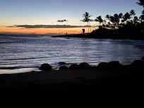Turtles at sunset on Brennecke Beach - 3 min walk